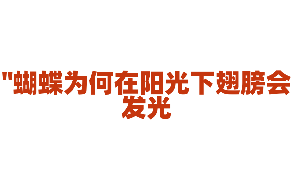 "蝴蝶为何在阳光下翅膀会发光？"